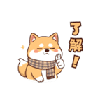 【冬に使える】もちふわ柴犬3！（個別スタンプ：12）