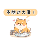 【冬に使える】もちふわ柴犬3！（個別スタンプ：26）