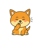 柴犬の感情スタンプ「ワンっと！喜怒哀楽」（個別スタンプ：1）
