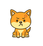 柴犬の感情スタンプ「ワンっと！喜怒哀楽」（個別スタンプ：7）
