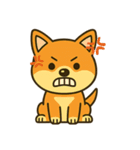 柴犬の感情スタンプ「ワンっと！喜怒哀楽」（個別スタンプ：8）