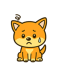柴犬の感情スタンプ「ワンっと！喜怒哀楽」（個別スタンプ：11）