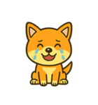 柴犬の感情スタンプ「ワンっと！喜怒哀楽」（個別スタンプ：12）