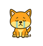 柴犬の感情スタンプ「ワンっと！喜怒哀楽」（個別スタンプ：14）