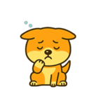 柴犬の感情スタンプ「ワンっと！喜怒哀楽」（個別スタンプ：16）