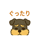 ミニチュアシュナウザーの変顔スタンプ（個別スタンプ：8）