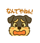 ミニチュアシュナウザーの変顔スタンプ（個別スタンプ：10）