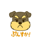 ミニチュアシュナウザーの変顔スタンプ（個別スタンプ：11）