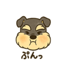 ミニチュアシュナウザーの変顔スタンプ（個別スタンプ：12）