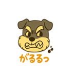 ミニチュアシュナウザーの変顔スタンプ（個別スタンプ：13）
