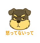 ミニチュアシュナウザーの変顔スタンプ（個別スタンプ：16）