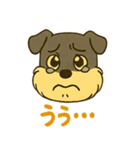 ミニチュアシュナウザーの変顔スタンプ（個別スタンプ：17）