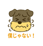 ミニチュアシュナウザーの変顔スタンプ（個別スタンプ：19）