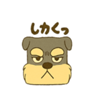 ミニチュアシュナウザーの変顔スタンプ（個別スタンプ：22）