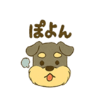 ミニチュアシュナウザーの変顔スタンプ（個別スタンプ：24）