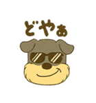 ミニチュアシュナウザーの変顔スタンプ（個別スタンプ：28）