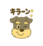 ミニチュアシュナウザーの変顔スタンプ（個別スタンプ：29）