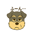 ミニチュアシュナウザーの変顔スタンプ（個別スタンプ：33）