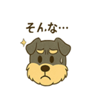 ミニチュアシュナウザーの変顔スタンプ（個別スタンプ：35）