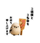 毎年使える♡シマエナガの冬＆年末年始（個別スタンプ：10）