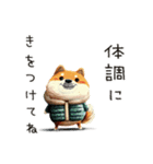 旅犬シバちよ★クリスマス＆お正月セット（個別スタンプ：24）