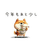 旅犬シバちよ★クリスマス＆お正月セット（個別スタンプ：37）