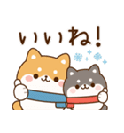 飛び出す！わんわんず8（冬・年賀）（個別スタンプ：10）