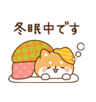 飛び出す！わんわんず8（冬・年賀）（個別スタンプ：15）