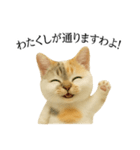 マダム語おしゃべりすっぴーさん（個別スタンプ：2）