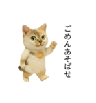 マダム語おしゃべりすっぴーさん（個別スタンプ：3）