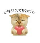 マダム語おしゃべりすっぴーさん（個別スタンプ：9）