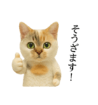 マダム語おしゃべりすっぴーさん（個別スタンプ：10）