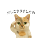 マダム語おしゃべりすっぴーさん（個別スタンプ：12）