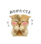 マダム語おしゃべりすっぴーさん（個別スタンプ：15）