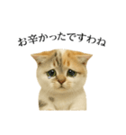 マダム語おしゃべりすっぴーさん（個別スタンプ：27）