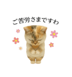 マダム語おしゃべりすっぴーさん（個別スタンプ：28）