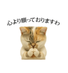 マダム語おしゃべりすっぴーさん（個別スタンプ：30）