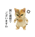 マダム語おしゃべりすっぴーさん（個別スタンプ：33）