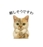 マダム語おしゃべりすっぴーさん（個別スタンプ：34）