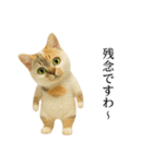 マダム語おしゃべりすっぴーさん（個別スタンプ：35）