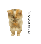 マダム語おしゃべりすっぴーさん（個別スタンプ：36）