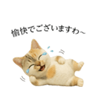 マダム語おしゃべりすっぴーさん（個別スタンプ：37）