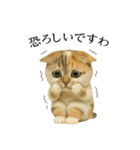 マダム語おしゃべりすっぴーさん（個別スタンプ：38）