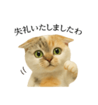 マダム語おしゃべりすっぴーさん（個別スタンプ：39）