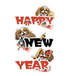 可愛いキャバリアBIG年末年始（個別スタンプ：14）