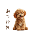 もふもふ☆トイプードル（個別スタンプ：2）