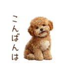 もふもふ☆トイプードル（個別スタンプ：3）
