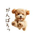もふもふ☆トイプードル（個別スタンプ：5）