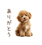 もふもふ☆トイプードル（個別スタンプ：6）