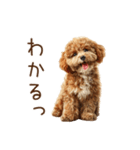 もふもふ☆トイプードル（個別スタンプ：12）